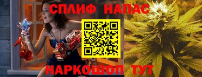 стаф Кимры