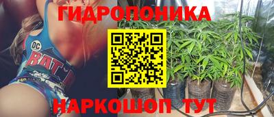 спайс Кинель