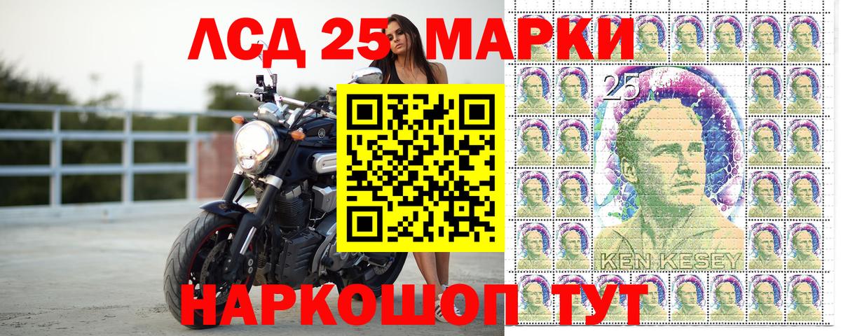 Губкин  Марки N-bome 1500мкг  Вход с VPN 