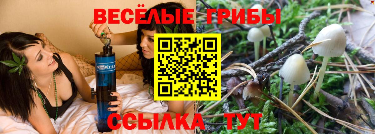 Галлюциногенные грибы мицелий Губкин