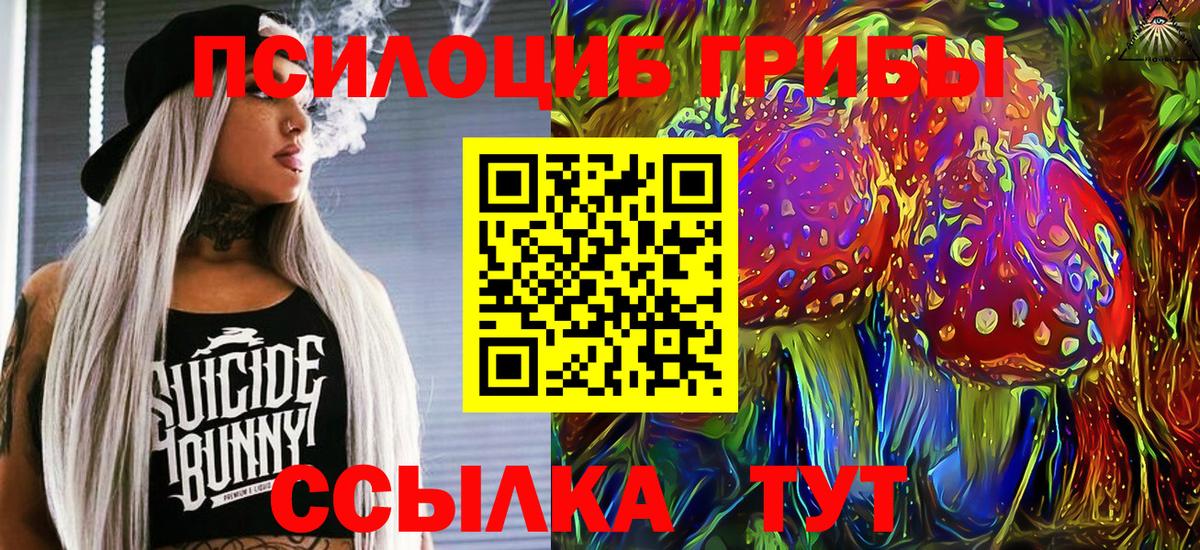 Губкин  Галлюциногенные грибы мухоморы  Вход с VPN  Псилоцибиновые грибы MAGIC MUSHROOMS 